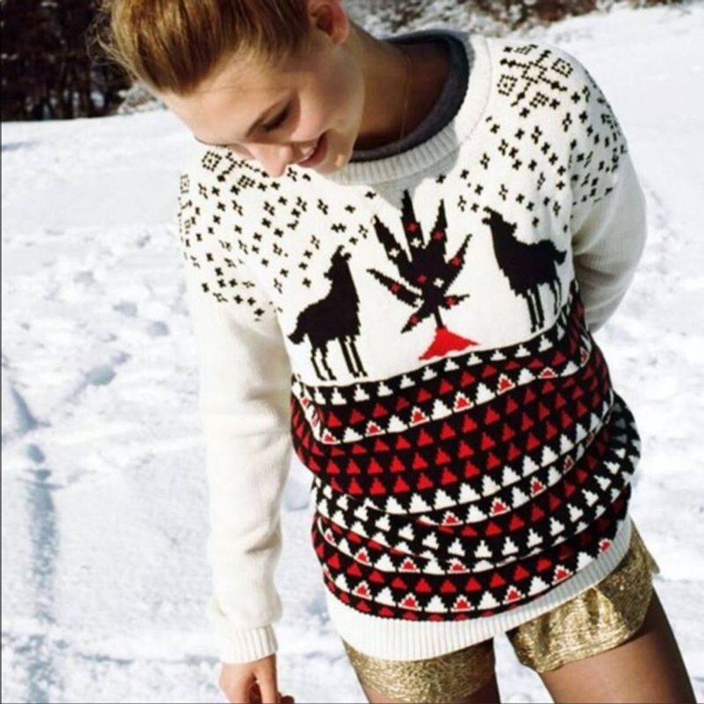 Urban Outfitters BDG Wolf Ski Sweater XL🤣